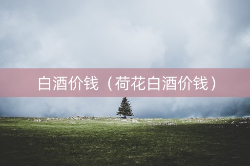 白酒价钱（荷花白酒价钱）