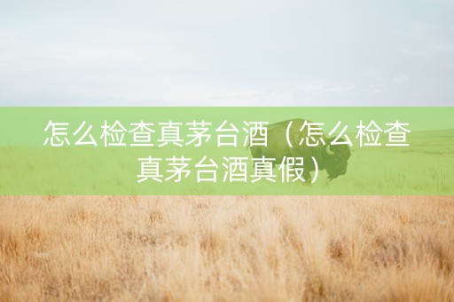 怎么检查真茅台酒（怎么检查真茅台酒真假）