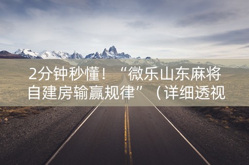 2分钟秒懂！“微乐山东麻将自建房输赢规律”（详细透视教程）-哔哩哔哩