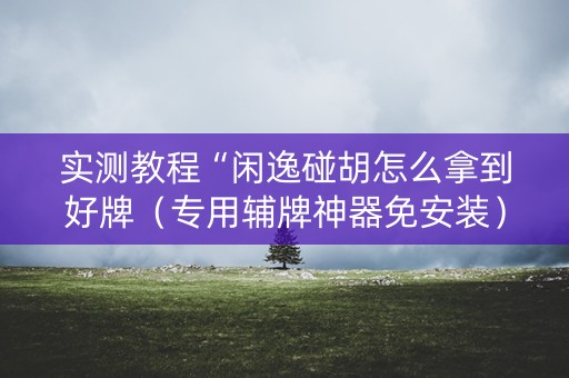 实测教程“闲逸碰胡怎么拿到好牌（专用辅牌神器免安装）