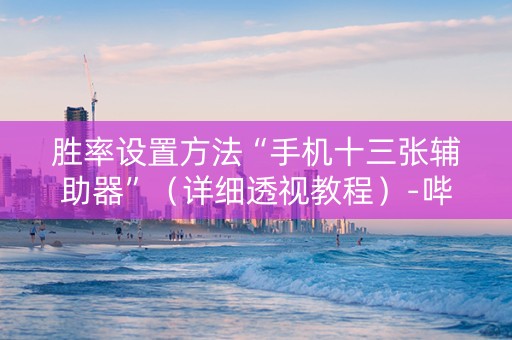 胜率设置方法“手机十三张辅助器”（详细透视教程）-哔哩哔哩