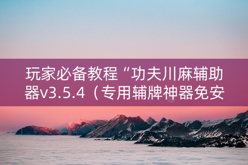 玩家必备教程“功夫川麻辅助器v3.5.4（专用辅牌神器免安装）