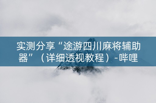 实测分享“途游四川麻将辅助器”（详细透视教程）-哔哩哔哩