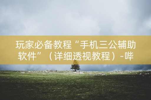 玩家必备教程“手机三公辅助软件”（详细透视教程）-哔哩哔哩