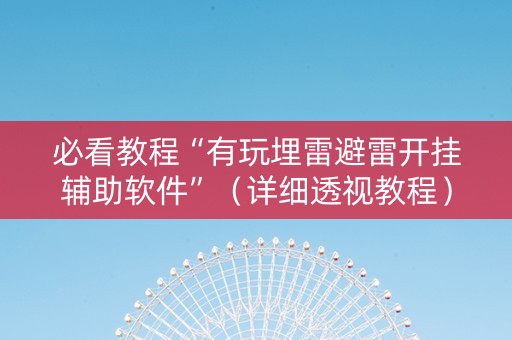 必看教程“有玩埋雷避雷开挂辅助软件”（详细透视教程）-哔哩哔哩