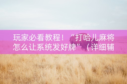 玩家必看教程！“打哈儿麻将怎么让系统发好牌”（详细辅助教程）-哔哩哔哩