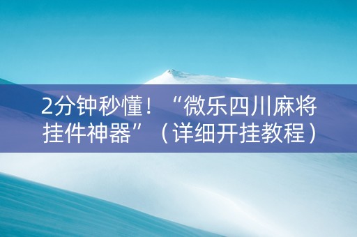 2分钟秒懂！“微乐四川麻将挂件神器”（详细开挂教程）-哔哩哔哩