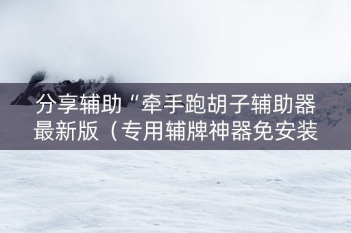 分享辅助“牵手跑胡子辅助器最新版（专用辅牌神器免安装）
