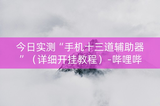 今日实测“手机十三道辅助器”（详细开挂教程）-哔哩哔哩