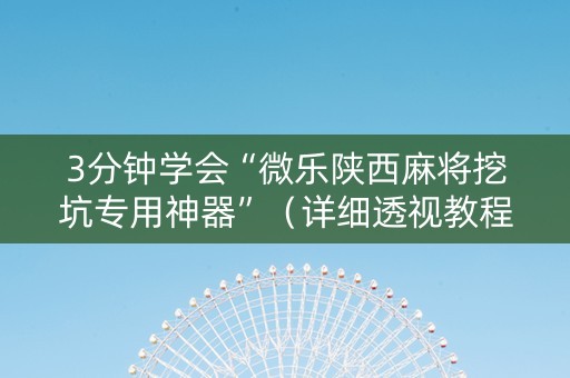 3分钟学会“微乐陕西麻将挖坑专用神器”（详细透视教程）-哔哩哔哩