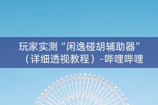 玩家实测“闲逸碰胡辅助器”（详细透视教程）-哔哩哔哩