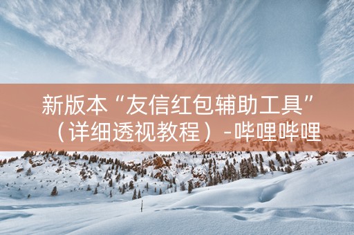 新版本“友信红包辅助工具”（详细透视教程）-哔哩哔哩