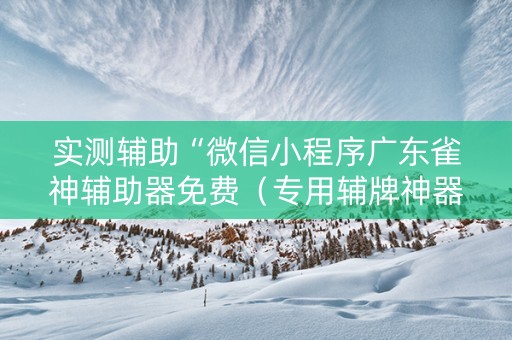 实测辅助“微信小程序广东雀神辅助器免费（专用辅牌神器免安装）