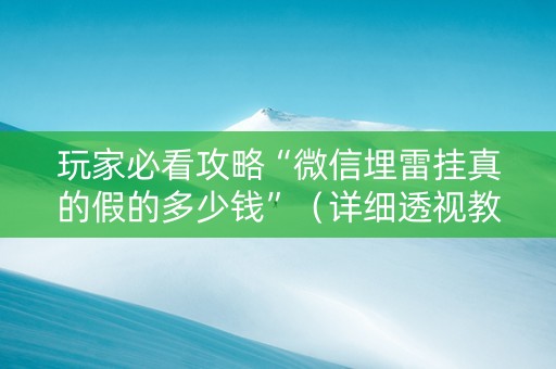 玩家必看攻略“微信埋雷挂真的假的多少钱”（详细透视教程）-哔哩哔哩