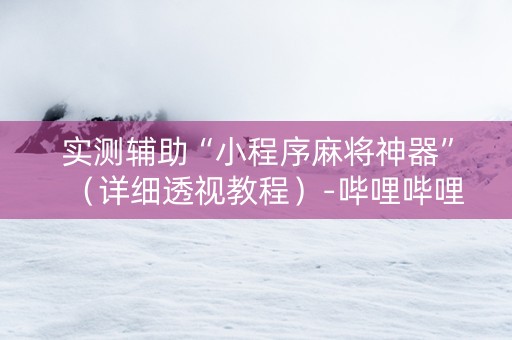 实测辅助“小程序麻将神器”（详细透视教程）-哔哩哔哩