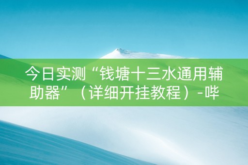 今日实测“钱塘十三水通用辅助器”（详细开挂教程）-哔哩哔哩