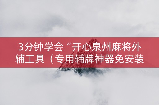 3分钟学会“开心泉州麻将外辅工具（专用辅牌神器免安装）