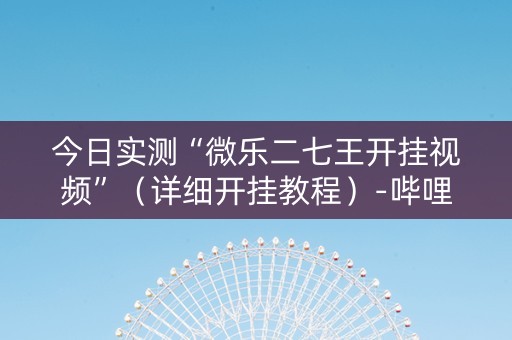 今日实测“微乐二七王开挂视频”（详细开挂教程）-哔哩哔哩