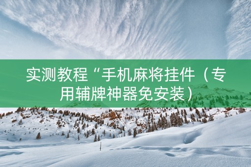 实测教程“手机麻将挂件（专用辅牌神器免安装）