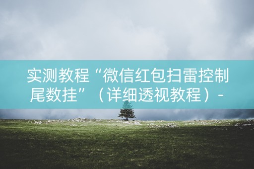 实测教程“微信红包扫雷控制尾数挂”（详细透视教程）-哔哩哔哩