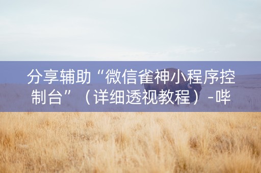 分享辅助“微信雀神小程序控制台”（详细透视教程）-哔哩哔哩