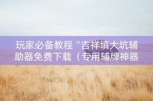 玩家必备教程“吉祥填大坑辅助器免费下载（专用辅牌神器免安装）
