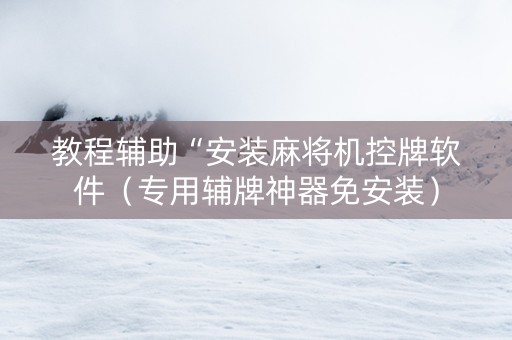 教程辅助“安装麻将机控牌软件（专用辅牌神器免安装）