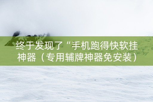 终于发现了“手机跑得快软挂神器（专用辅牌神器免安装）