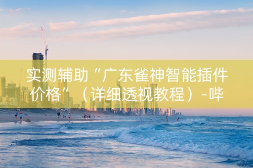 实测辅助“广东雀神智能插件价格”（详细透视教程）-哔哩哔哩