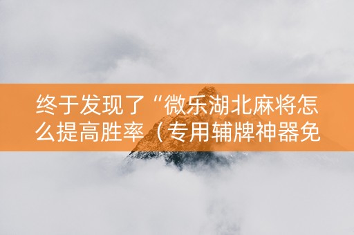 终于发现了“微乐湖北麻将怎么提高胜率（专用辅牌神器免安装）