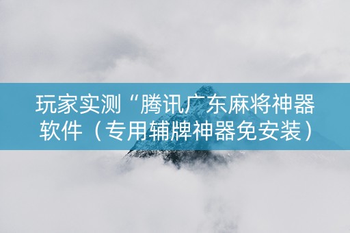 玩家实测“腾讯广东麻将神器软件（专用辅牌神器免安装）