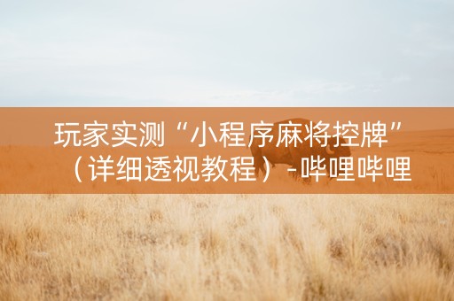 玩家实测“小程序麻将控牌”（详细透视教程）-哔哩哔哩