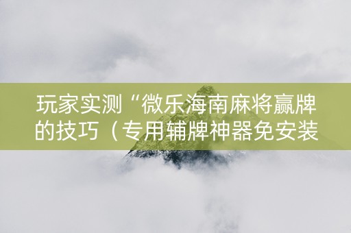 玩家实测“微乐海南麻将赢牌的技巧（专用辅牌神器免安装）