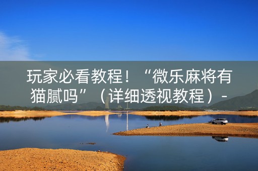 玩家必看教程！“微乐麻将有猫腻吗”（详细透视教程）-哔哩哔哩