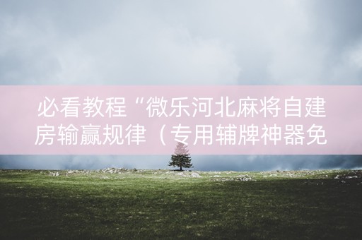 必看教程“微乐河北麻将自建房输赢规律（专用辅牌神器免安装）
