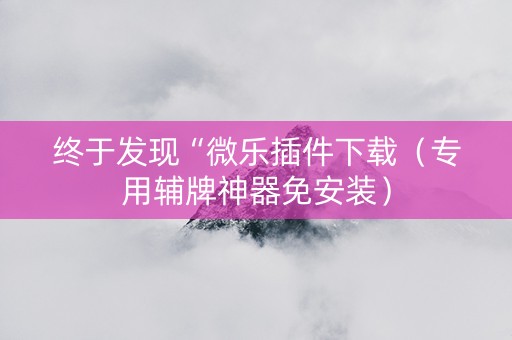 终于发现“微乐插件下载（专用辅牌神器免安装）