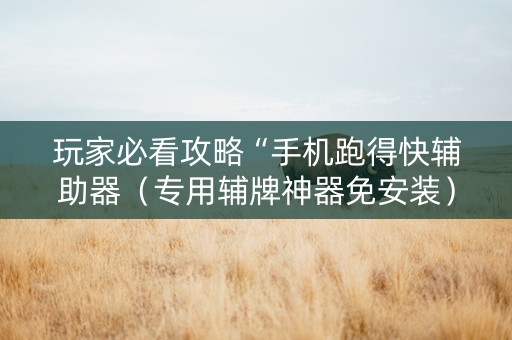 玩家必看攻略“手机跑得快辅助器（专用辅牌神器免安装）
