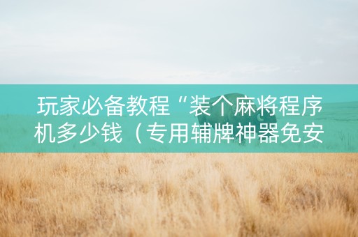 玩家必备教程“装个麻将程序机多少钱（专用辅牌神器免安装）