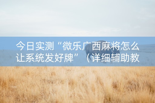 今日实测“微乐广西麻将怎么让系统发好牌”（详细辅助教程）-哔哩哔哩