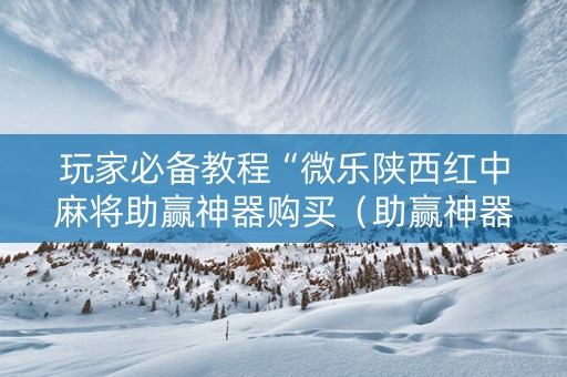 玩家必备教程“微乐陕西红中麻将助赢神器购买（助赢神器通用版）