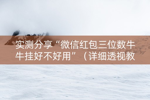 实测分享“微信红包三位数牛牛挂好不好用”（详细透视教程）-哔哩哔哩