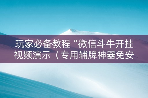 玩家必备教程“微信斗牛开挂视频演示（专用辅牌神器免安装）