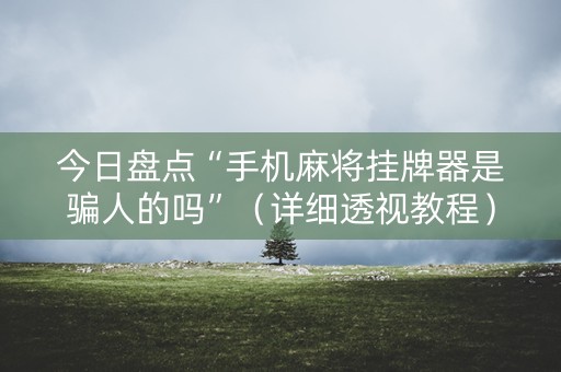 今日盘点“手机麻将挂牌器是骗人的吗”（详细透视教程）-哔哩哔哩