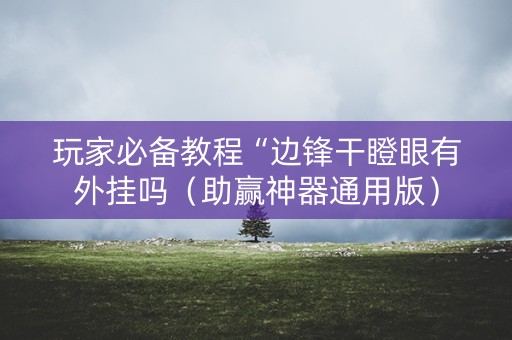 玩家必备教程“边锋干瞪眼有外挂吗（助赢神器通用版）