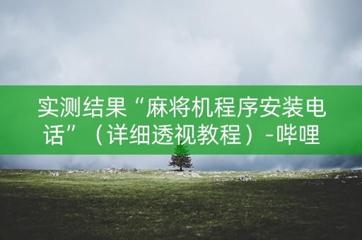 实测结果“麻将机程序安装电话”（详细透视教程）-哔哩哔哩