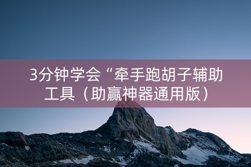 3分钟学会“牵手跑胡子辅助工具（助赢神器通用版）