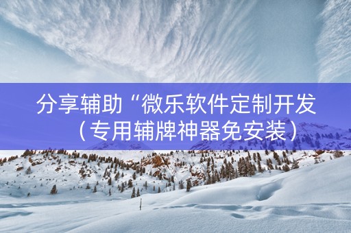 分享辅助“微乐软件定制开发（专用辅牌神器免安装）