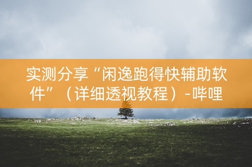 实测分享“闲逸跑得快辅助软件”（详细透视教程）-哔哩哔哩