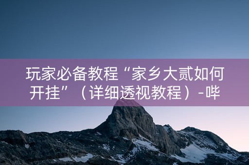 玩家必备教程“家乡大贰如何开挂”（详细透视教程）-哔哩哔哩