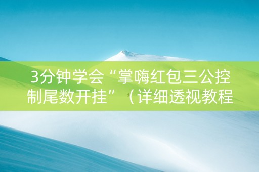 3分钟学会“掌嗨红包三公控制尾数开挂”（详细透视教程）-哔哩哔哩